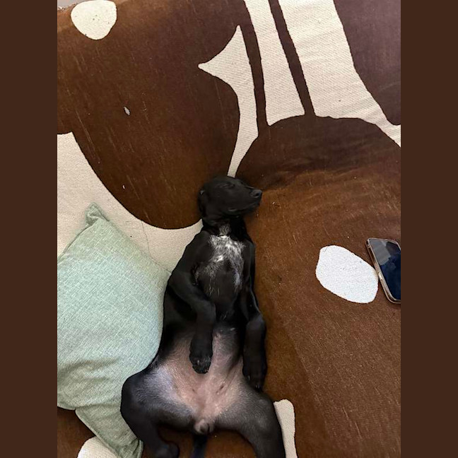 Photo of Lexi