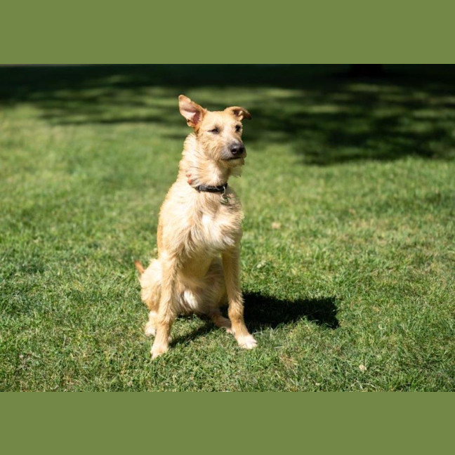 Photo of Rocky Gainsborough