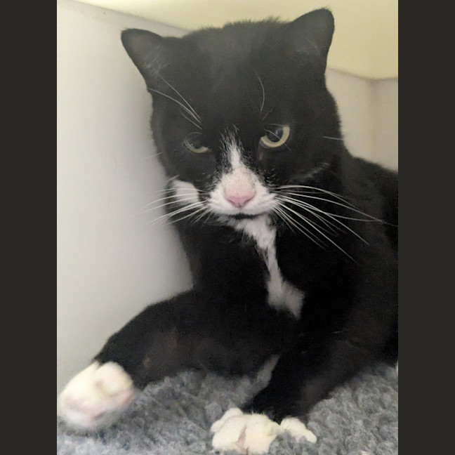 Photo of ⛳ Melvin 5886 ⛳