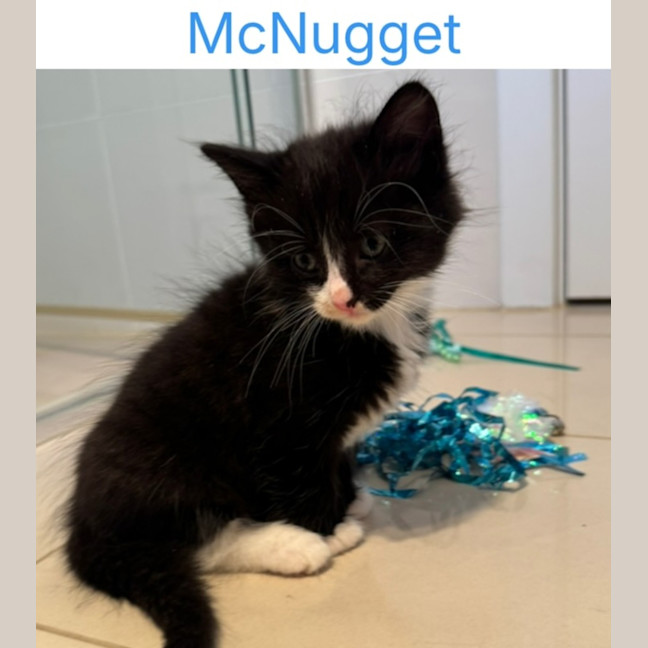 Photo of Mc Nugget
