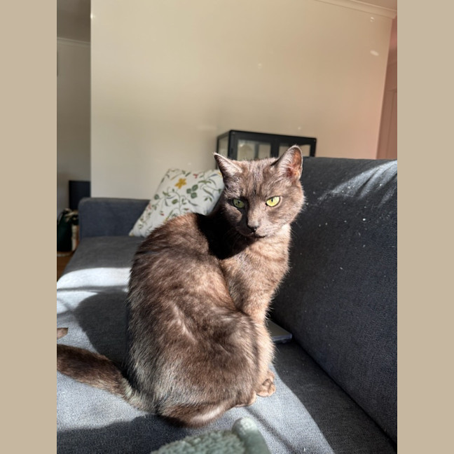 Photo of Smokey