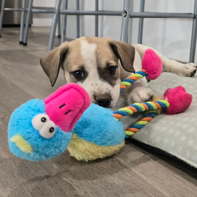 Photo of Lumpy Space Princess