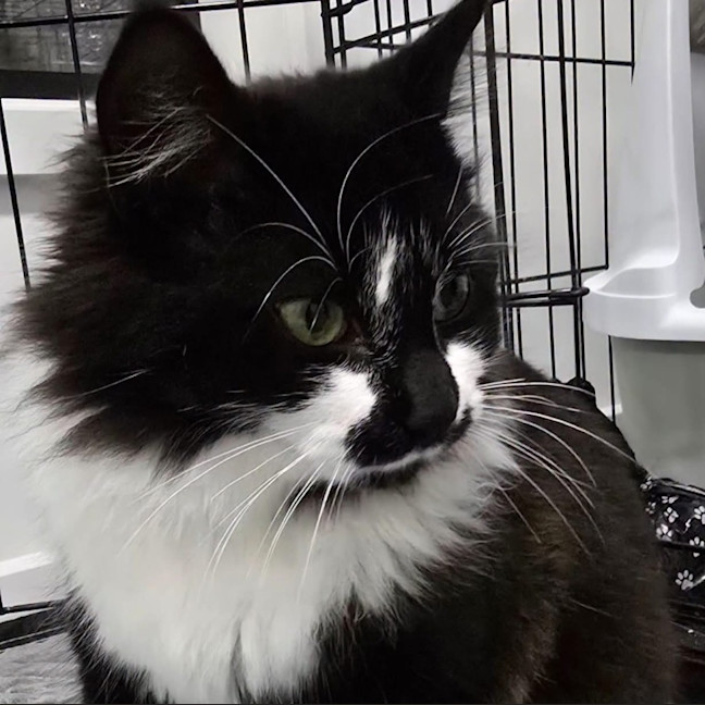 Photo of Mrs Tux