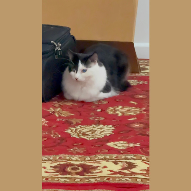 Photo of Gwynn