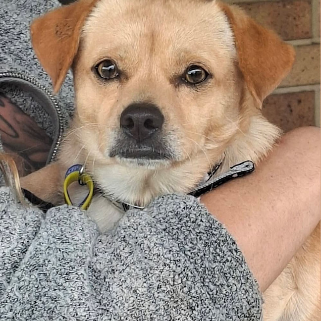 Photo of Roscoe