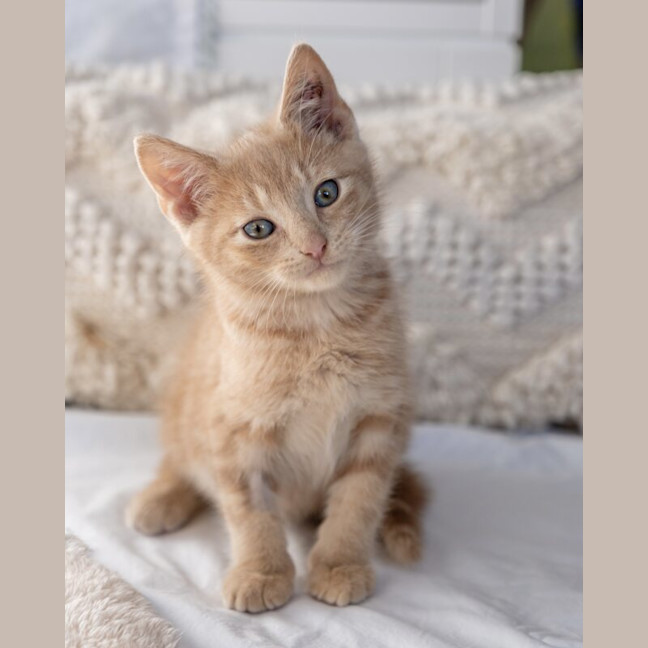 Photo of Bingo