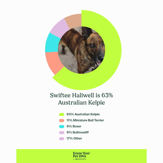 Photo of Swiftee Haliwell