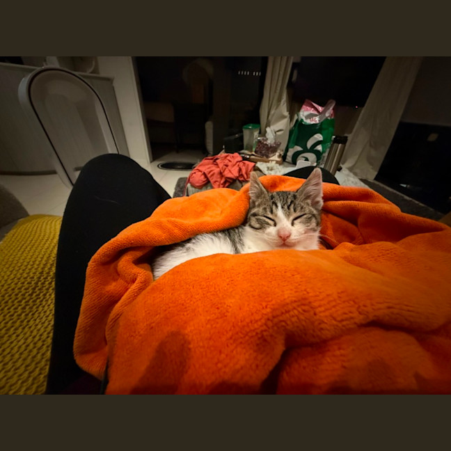 Photo of Digory