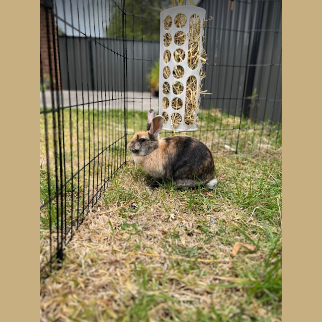 Photo of Hopper Melbourne