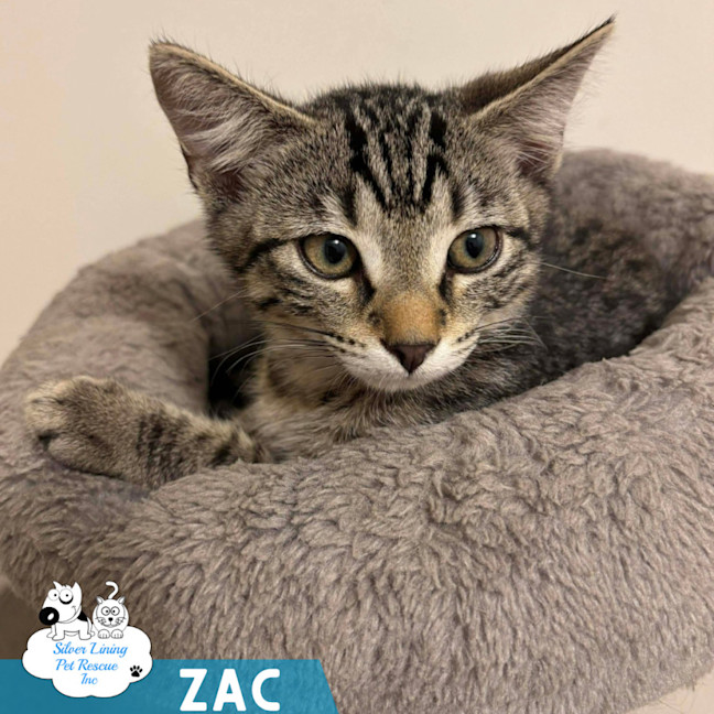Photo of Zak
