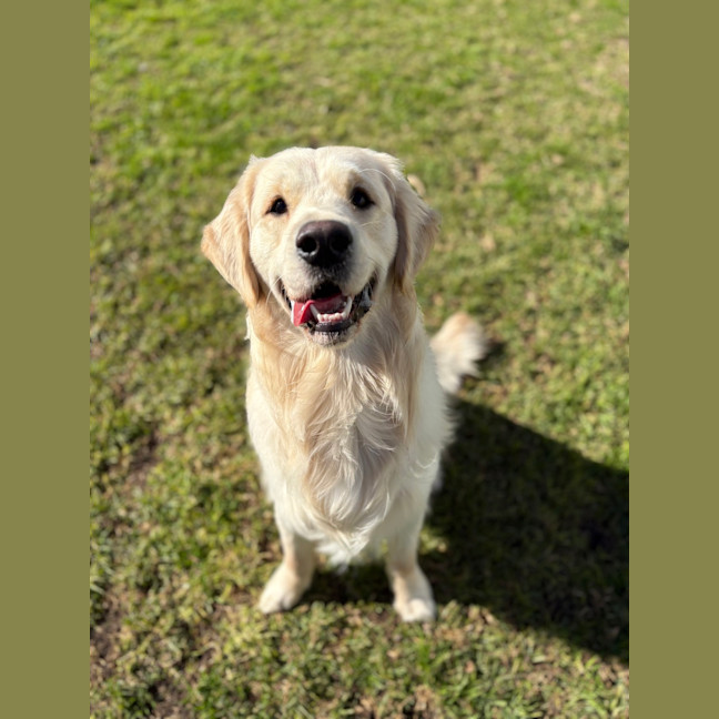 Photo of Sunny Boy 
