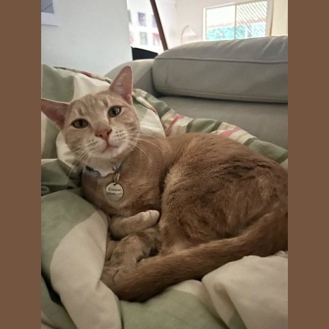 Photo of Eddie