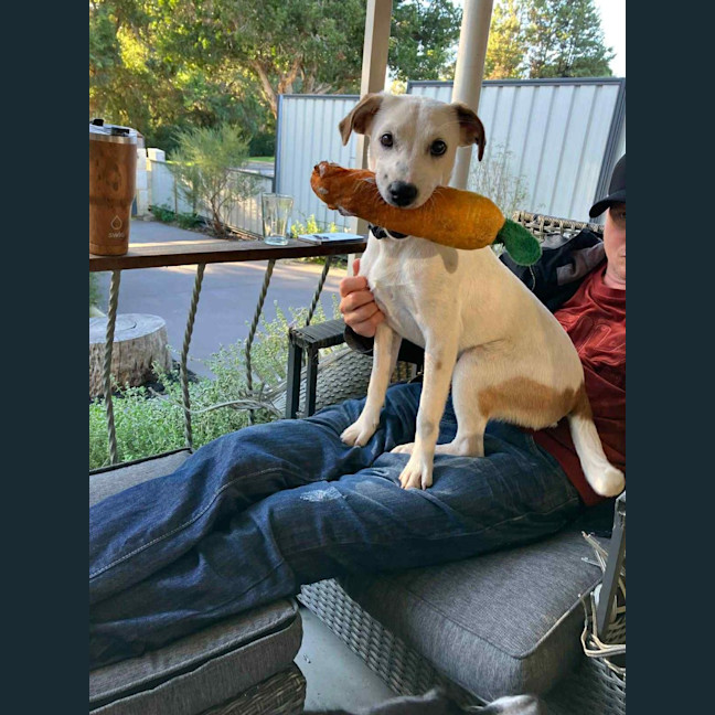 Photo of Nala