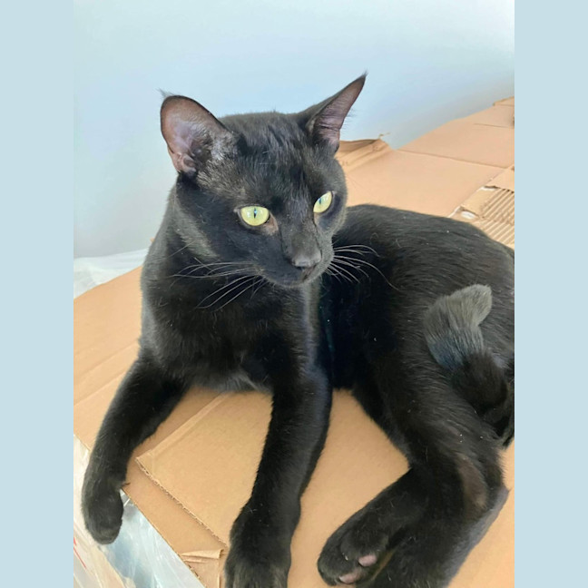 Photo of William & Washington