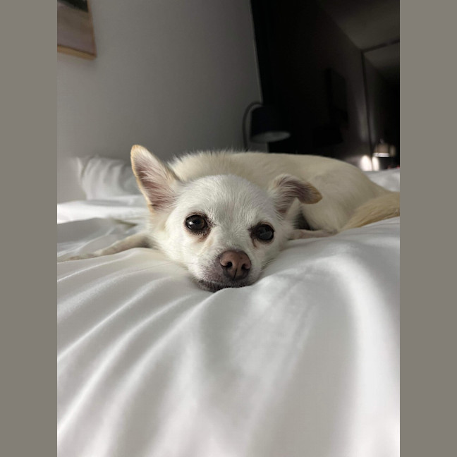 Photo of Maggie