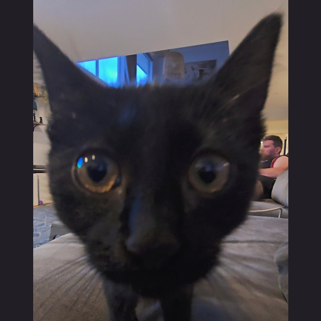 Photo of Morgana 