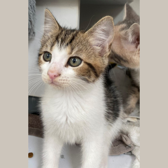 Photo of Berlin (9955)