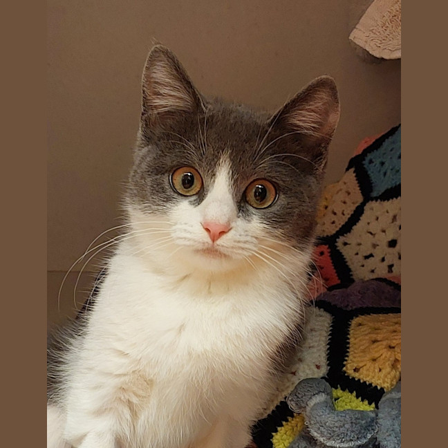 Photo of Jolene