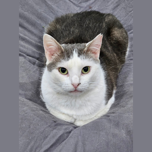 Photo of Mabel