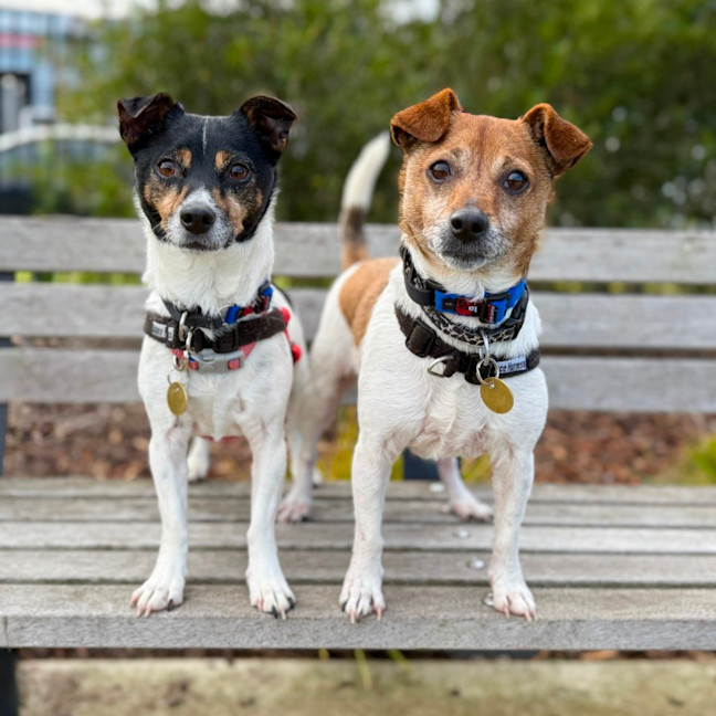 Photo of Molly & Snoop