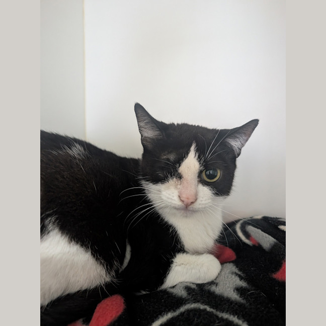 Photo of Coraline 