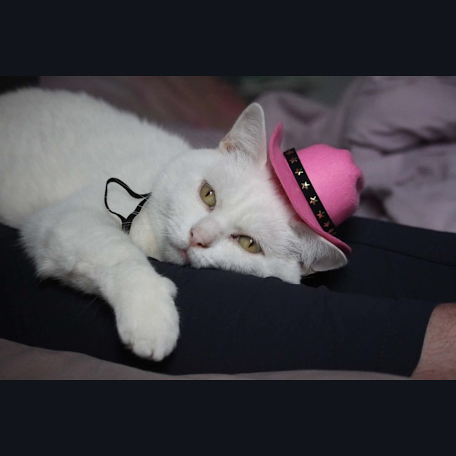 Photo of Mochi