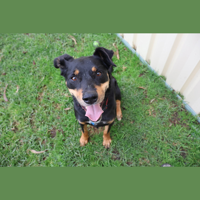 Photo of Muster