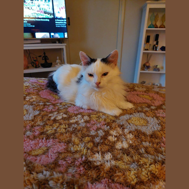 Photo of Silas
