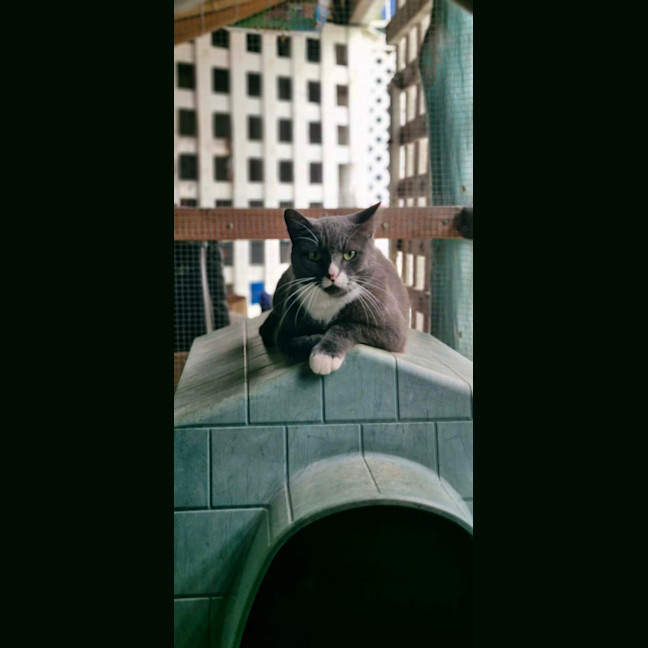 Photo of Butternut