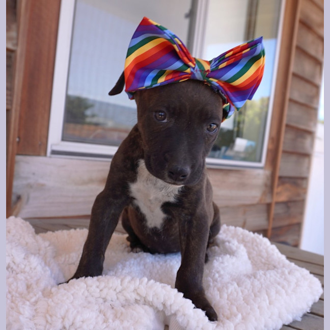 Photo of Gia