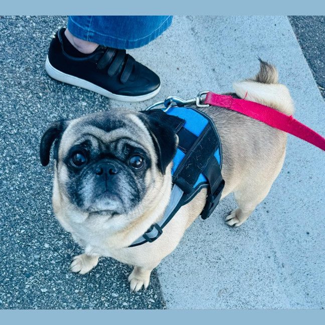 Photo of Tex