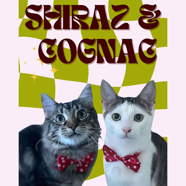Photo of Shiraz & Cognac🍹