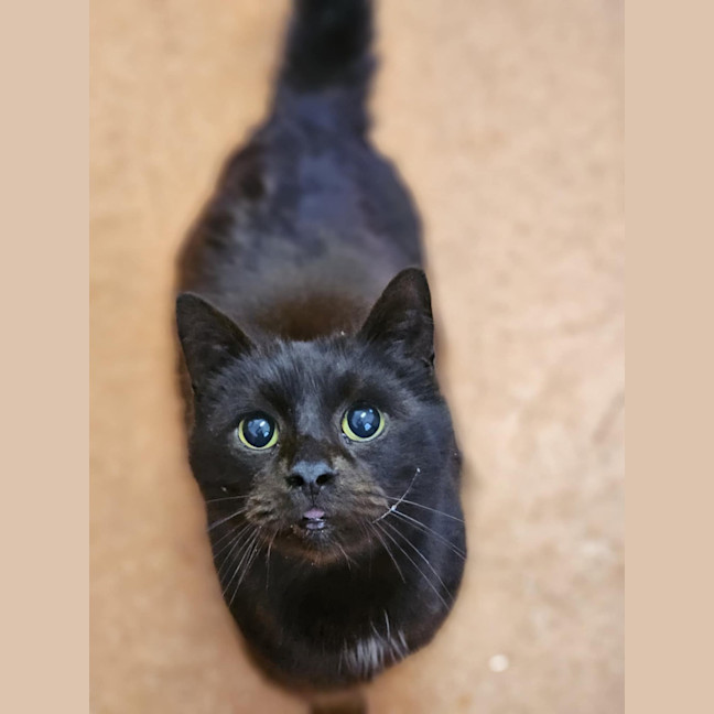 Photo of Sammy