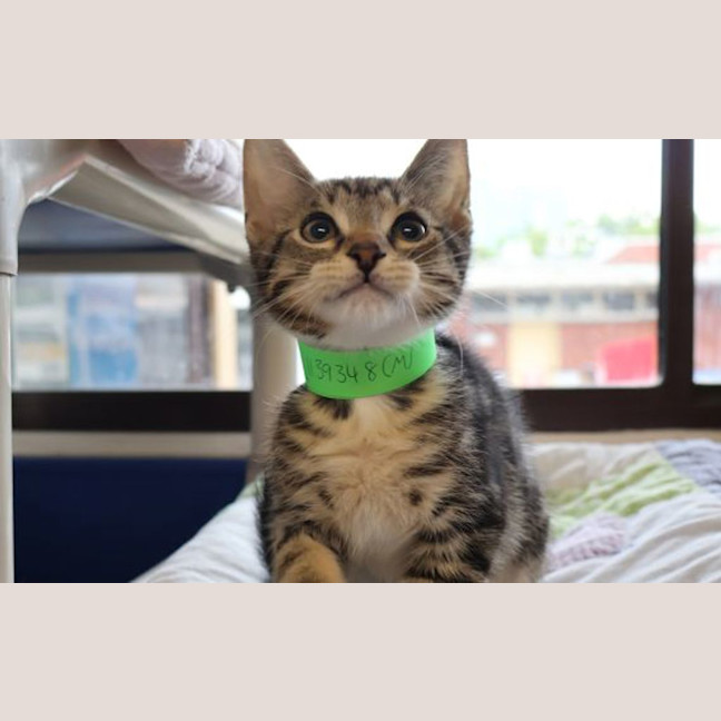 Photo of Charlie