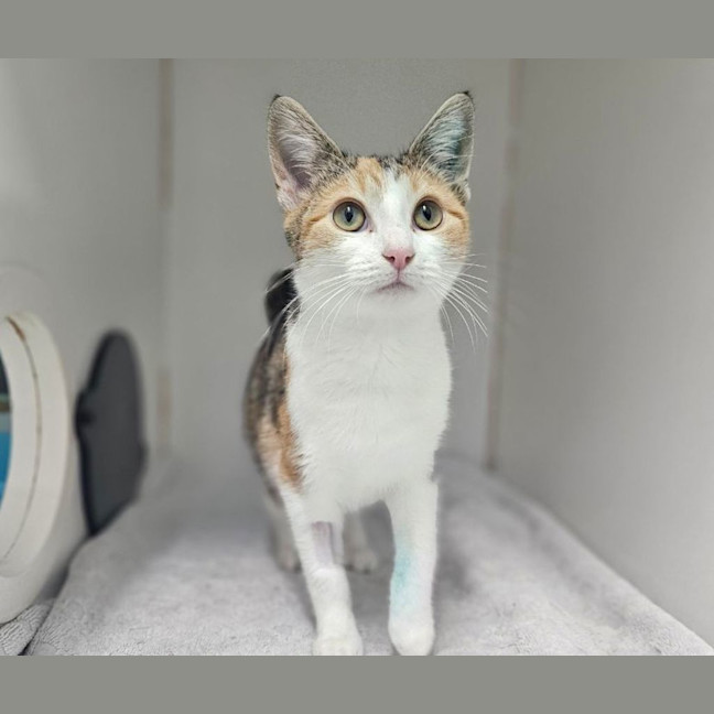 Photo of Mimi