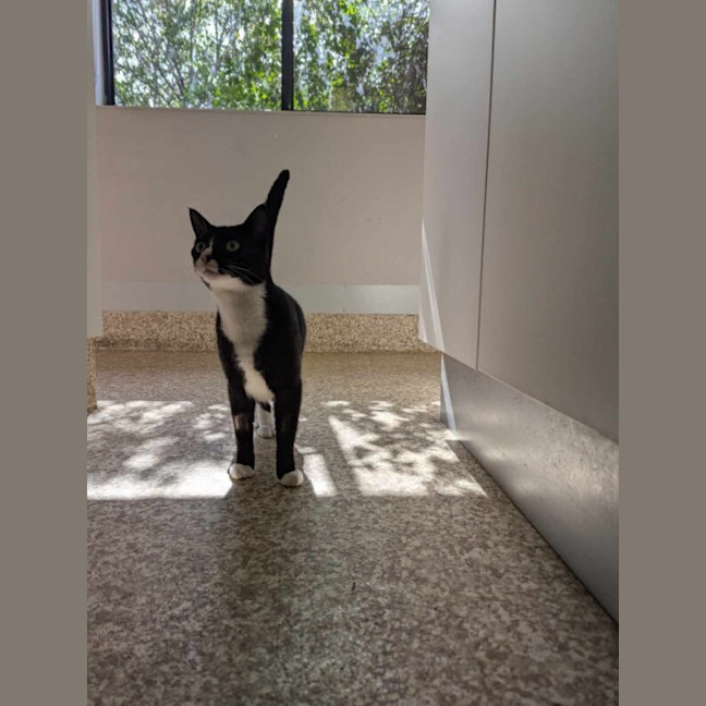 Photo of Maverick