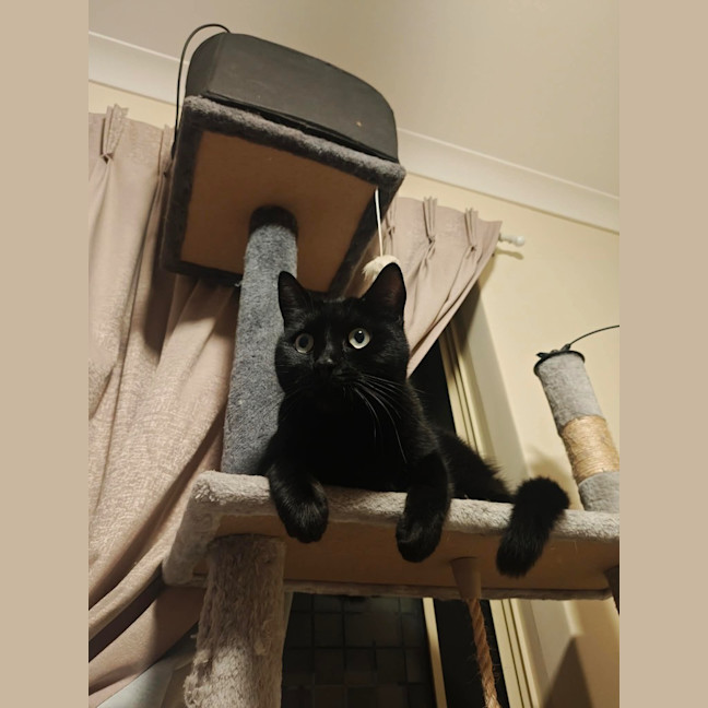 Photo of Charlie