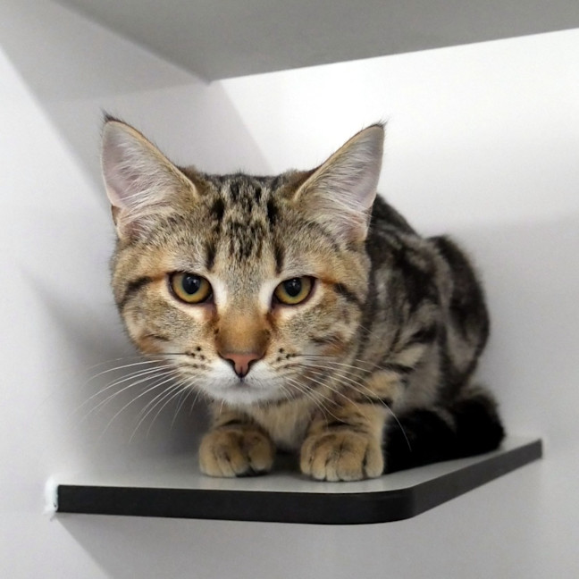 Photo of Billy Suk013893 & Jacqueline Suk013894