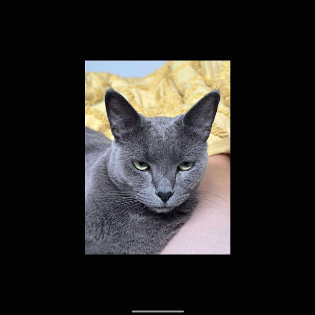 Photo of Bruno + Daisy