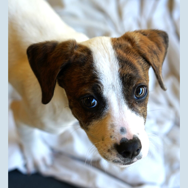 Photo of Betty
