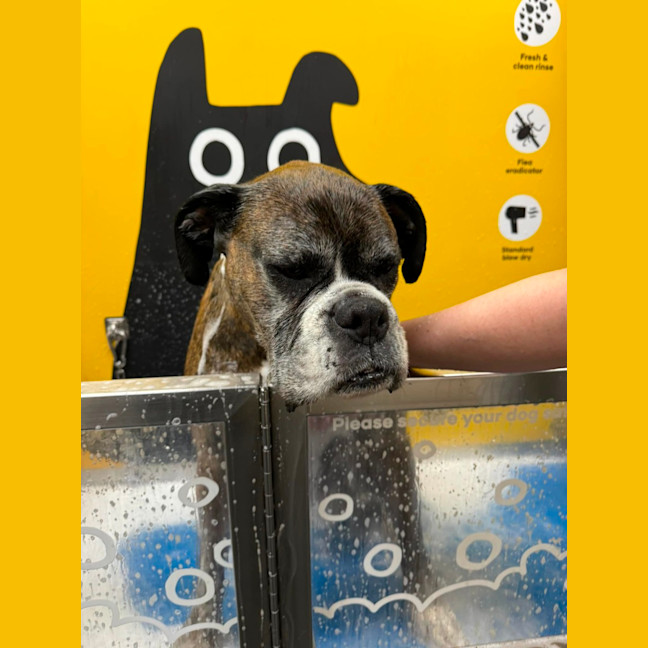 Photo of Leo And Harley