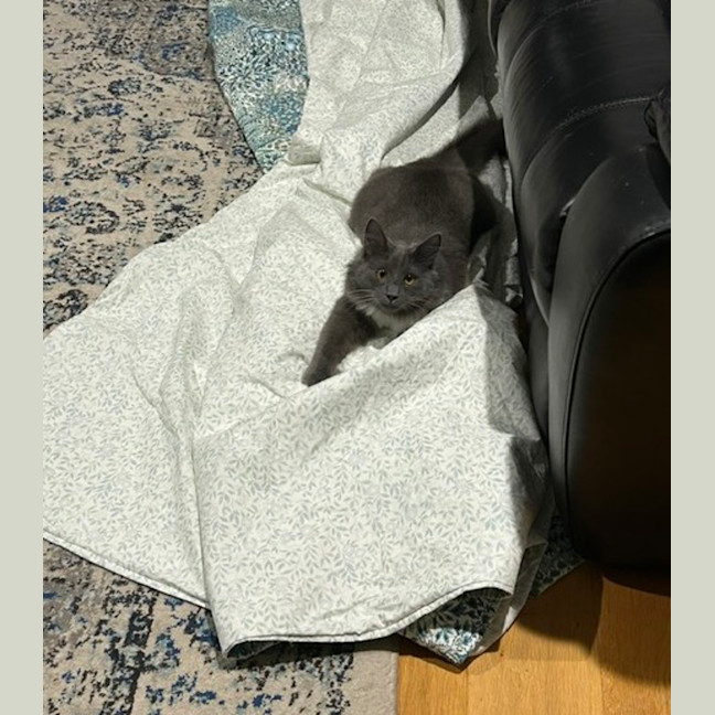Photo of Leroy