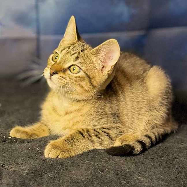 Photo of Anarchy   Located In Preston