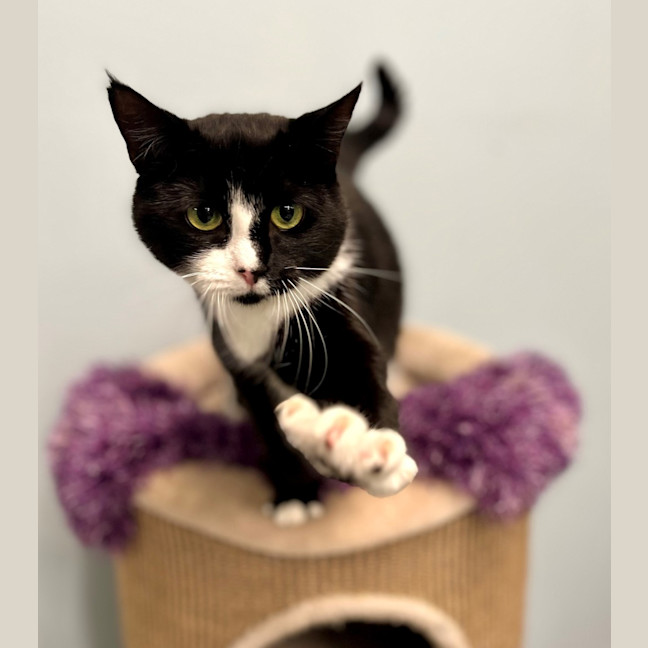 Photo of Rosie