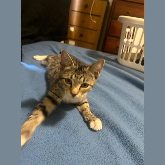 Photo of Bella