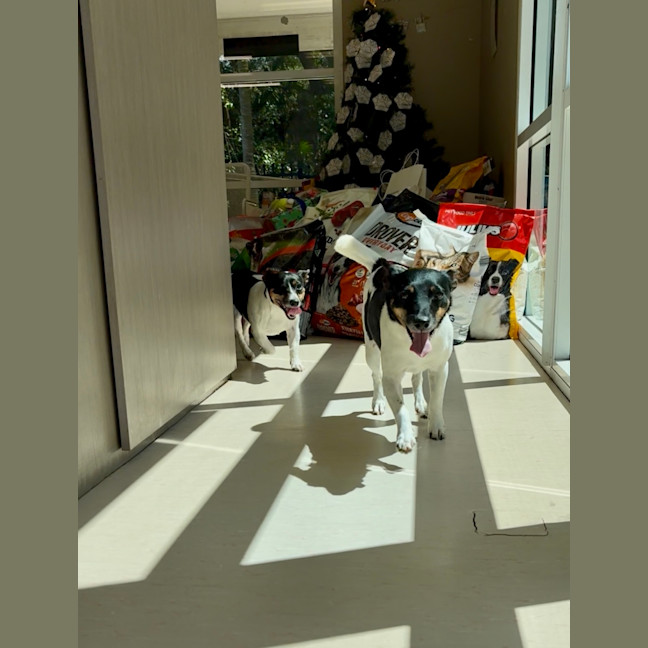 Photo of Jimmy + Sonny