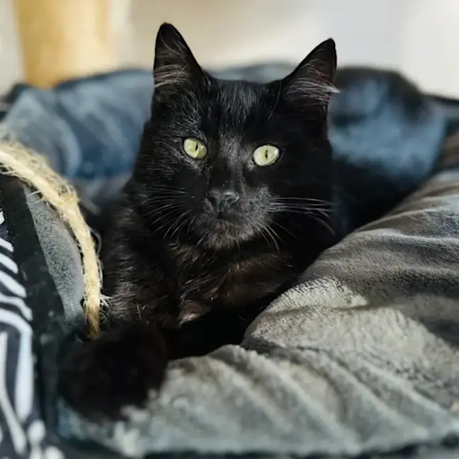 Photo of Ella