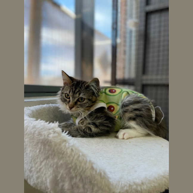 Photo of 🐦 Chirper 5882 🐦