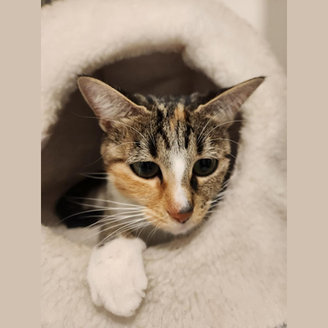 Photo of Enid