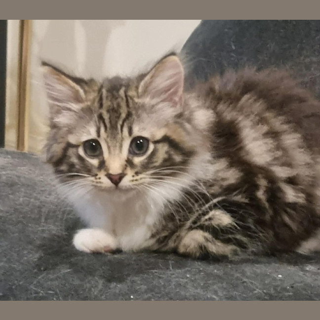 Photo of Betty 
